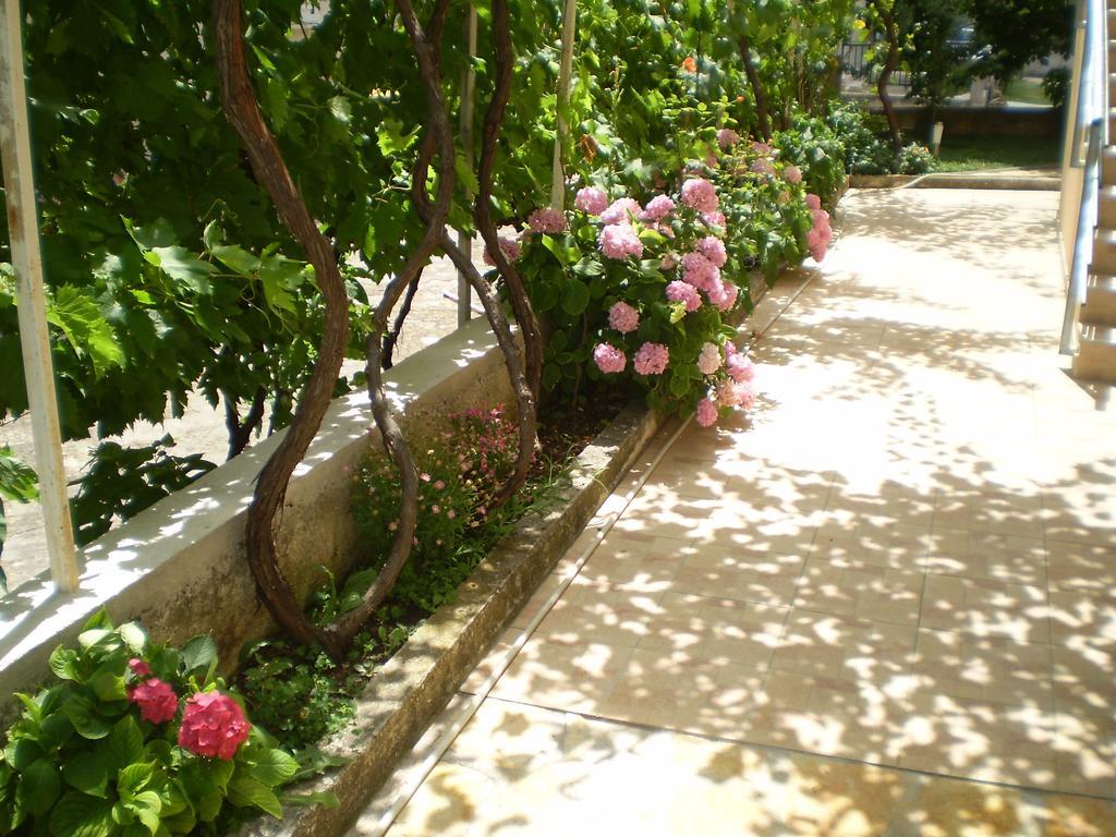 Apartments Tare, Free Parking Vodice Camera foto