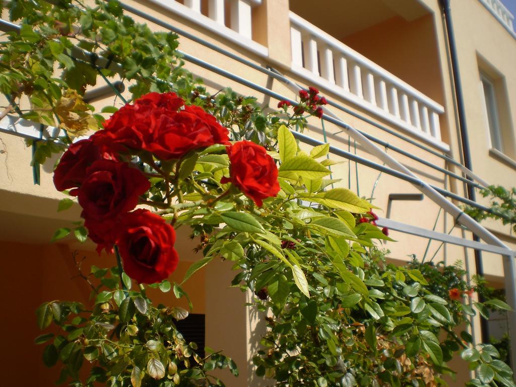 Apartments Tare, Free Parking Vodice Camera foto